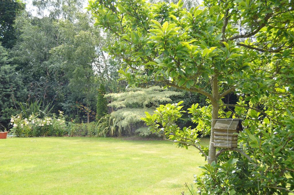 Beechwood Country House ξενώνας Malahide Εξωτερικό φωτογραφία